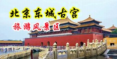 草逼水这些观看中国北京-东城古宫旅游风景区